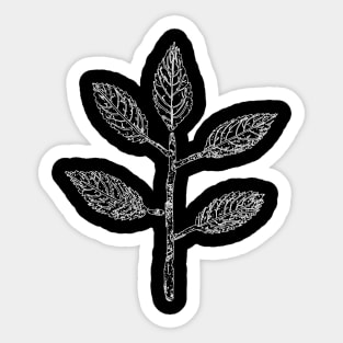 Leaf Drawing - Fine Lines Sticker